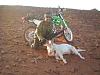 Hunting with the 09 KLX 250s-cd-billy.jpg