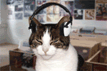 Name:  Cat20Headphonesresized.gif
Views: 213
Size:  89.5 KB