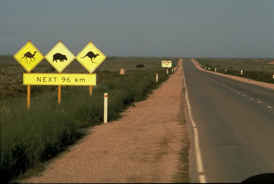 Name:  1nullarbor_sign_.jpg
Views: 29
Size:  34.7 KB