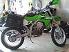 Luggage rack for a KLX 250 ?-saddlebags.jpg