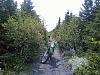 My First Ride report. Bonavista Trailway-growdin.jpg