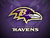 Favourite NFL team-baltimore-ravens-logo-3-2fkf846nnw-1024x768.jpg