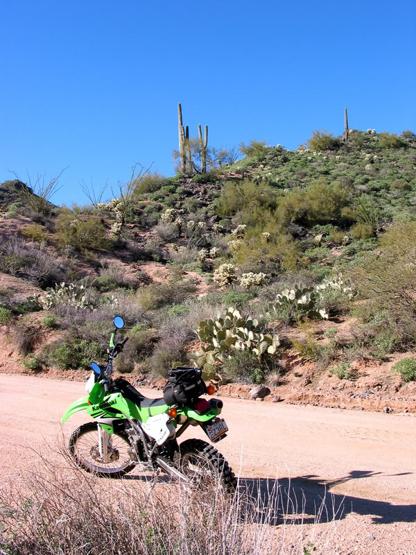 Name:  DESERT_RIDE3.jpg
Views: 17
Size:  167.5 KB