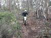 help my horepower-016downhill.jpg