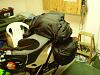 New DirtBagz saddlebags-saddlebags-008_2.jpg