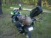 Dual Sport Deer Hunting-dscn0756.jpg