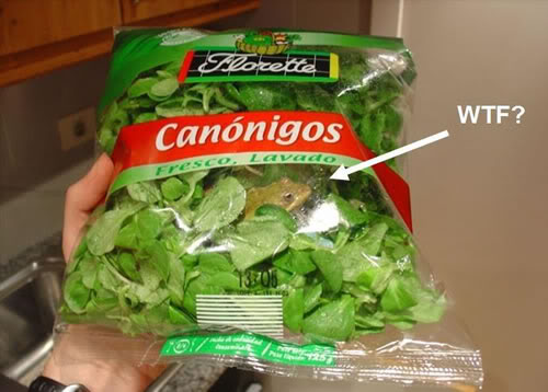 Name:  wtf-is-in-my-salad.jpg
Views: 10
Size:  35.1 KB