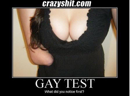 Name:  041209_gay_test.jpg
Views: 11
Size:  22.8 KB