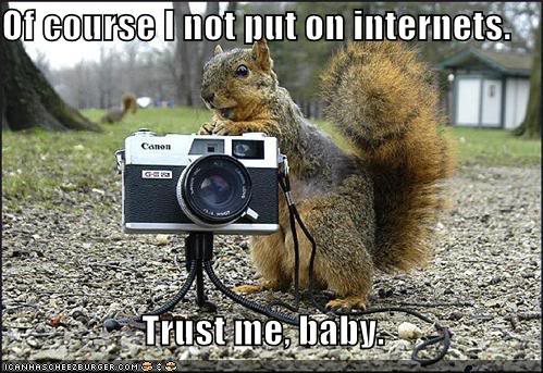 Name:  creepy-squirrel-camera-park.jpg
Views: 28
Size:  54.7 KB