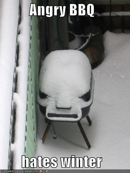 Name:  angry-bbq-hates-winter-snow.jpg
Views: 21
Size:  29.6 KB