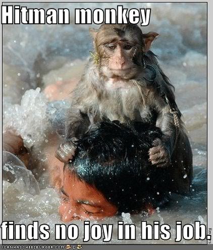 Name:  hitman-monkey-drowns-boy.jpg
Views: 25
Size:  52.2 KB