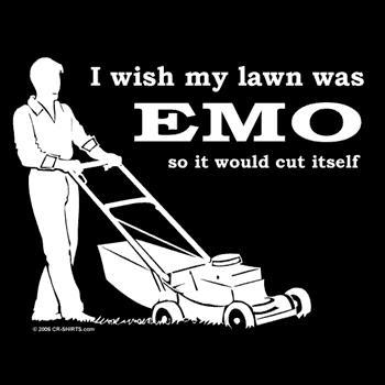 Name:  emo-lawn.jpg
Views: 4
Size:  16.3 KB