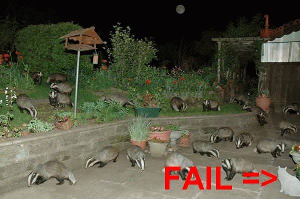 Name:  badgerfail.jpg
Views: 15
Size:  35.7 KB