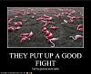  THE RANDOM PICTURE THREAD-funny-pictures-lawn-gnomes-have-beaten-pink-flamingos.jpg